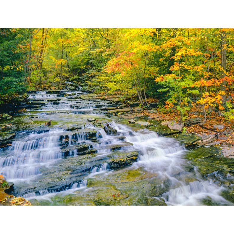 Tranh 3D phong cảnh thác nước chảy, sông suối nên thơ, cảnh quan đẹp nên thơ, trong lành với thảm cỏ, rừng núi xanh ngắt