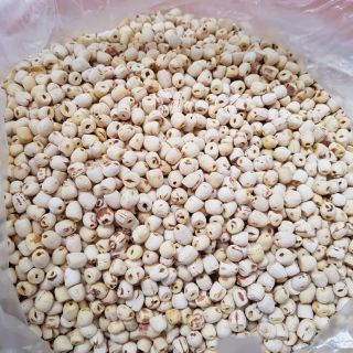 Sen trắng khô loại ngon