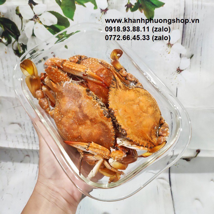 Khay thủy tinh lock&lock - khay thủy tinh lock