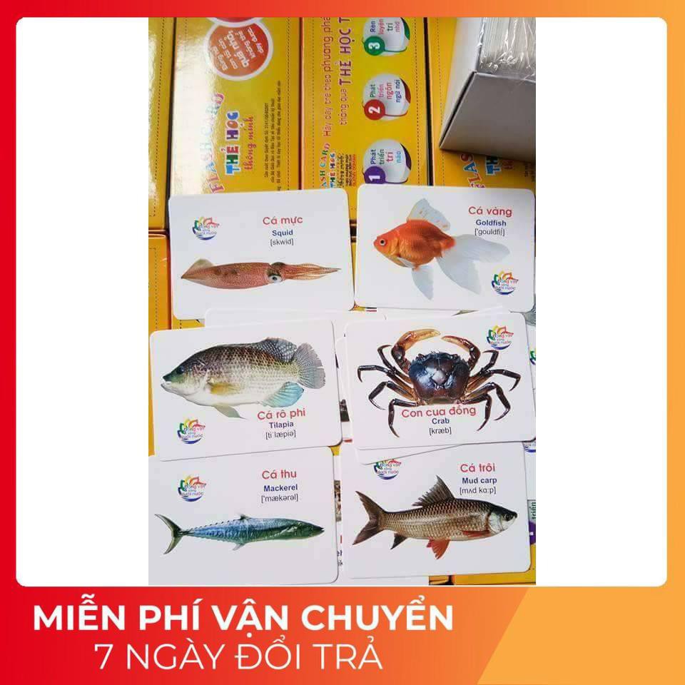 Bộ thẻ học thông minh Flash card 16 chủ đề 416 thẻ tiếng anh tiếng việt cho bé