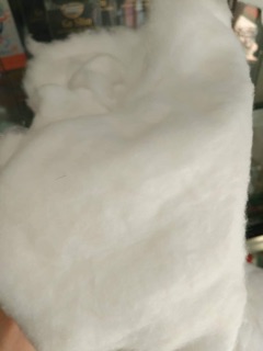 BÔNG HÚT NƯỚC