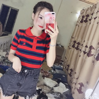 Combo yến muối