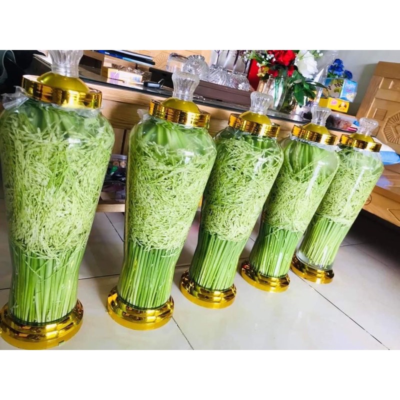 1kg Đòng đòng lúa nếp Kim Sơn Ninh Bình - HÀNG ĐẢM BẢO CHẤT LƯỢNG 100% - DƯỢC LIỆU HÀ HOÀNG