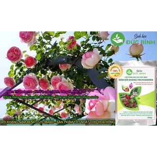 CHẾ PHẨM TRICHODERMA DẠNG PHUN, XỊT CHO LAN, HOA HỒNG, CHẾ PHẨM EMZEO