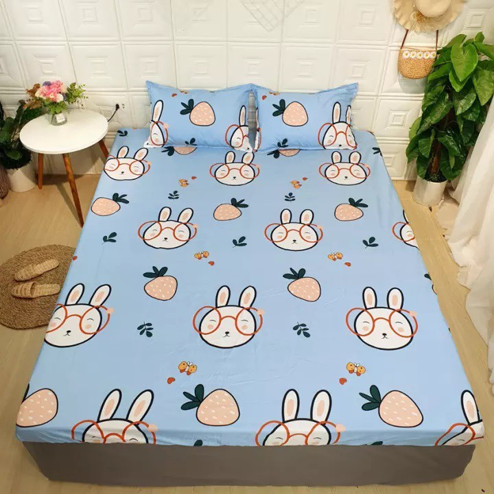 Chăn hè ga giường kèm vỏ gối và vỏ gối ôm poly cotton kích thước m2 m6 m8 2m2 mẫu thỏ xanh đeo kính