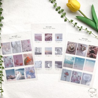 Set 3 sticker vintage trong suốt hoa lá, kiwi, bánh kem, mặt trăng, biển xanh và bầu trời trang trí sổ tay, DIY
