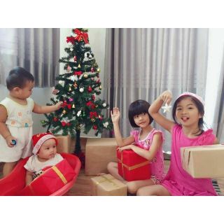 CÂY THÔNG TRANG TRÍ NOEL 60cm(Kèm phụ kiện trang trí)