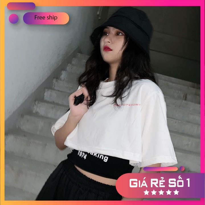 [Mã FAMAYWA giảm 10K đơn 50K] Áo Thun Croptop GROUNDBREAKING 1974 - Set Croptop 2 món | BigBuy360 - bigbuy360.vn