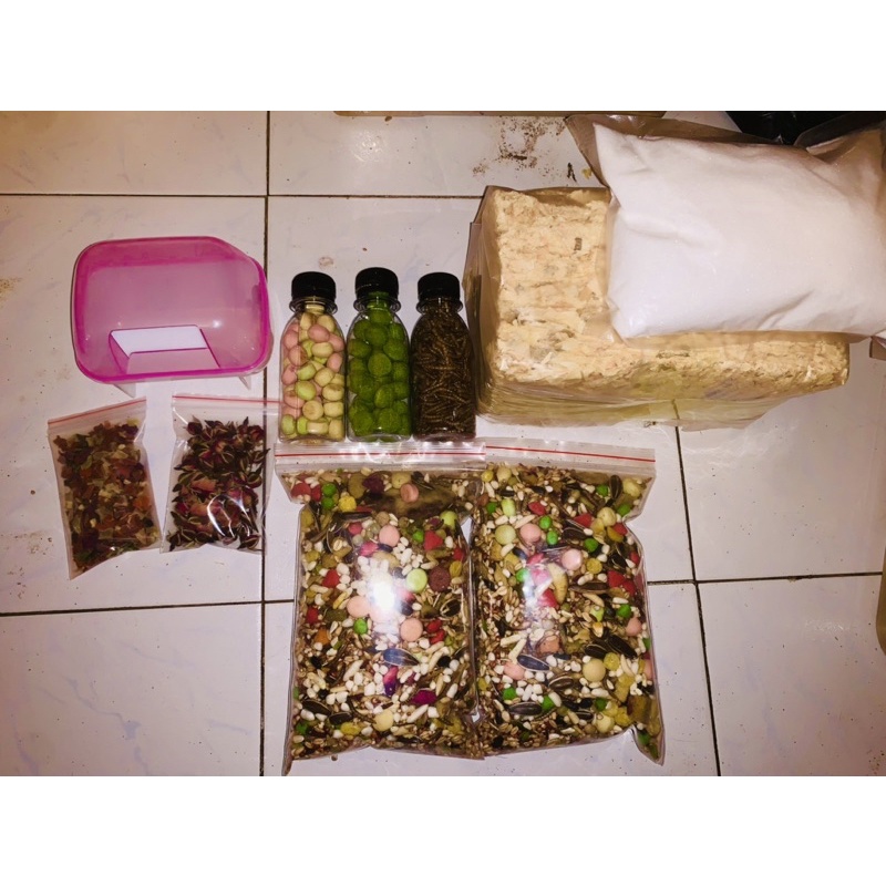 Combo đồ nuôi hamster cơ bản