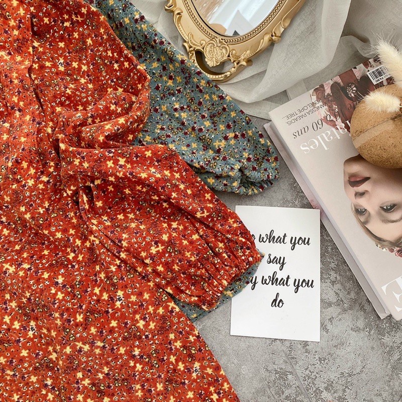 ĐẦM HOA NHÍ CỔ TRÒN CHÂN BÈO