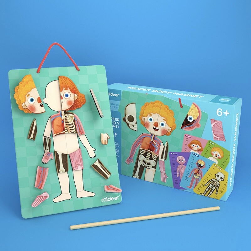 Đồ Chơi Ghép Hình Nam Châm Mideer Human Body Magnetic Puzzle, Đồ chơi bác sĩ cho bé 4,5,6,7 Tuổi