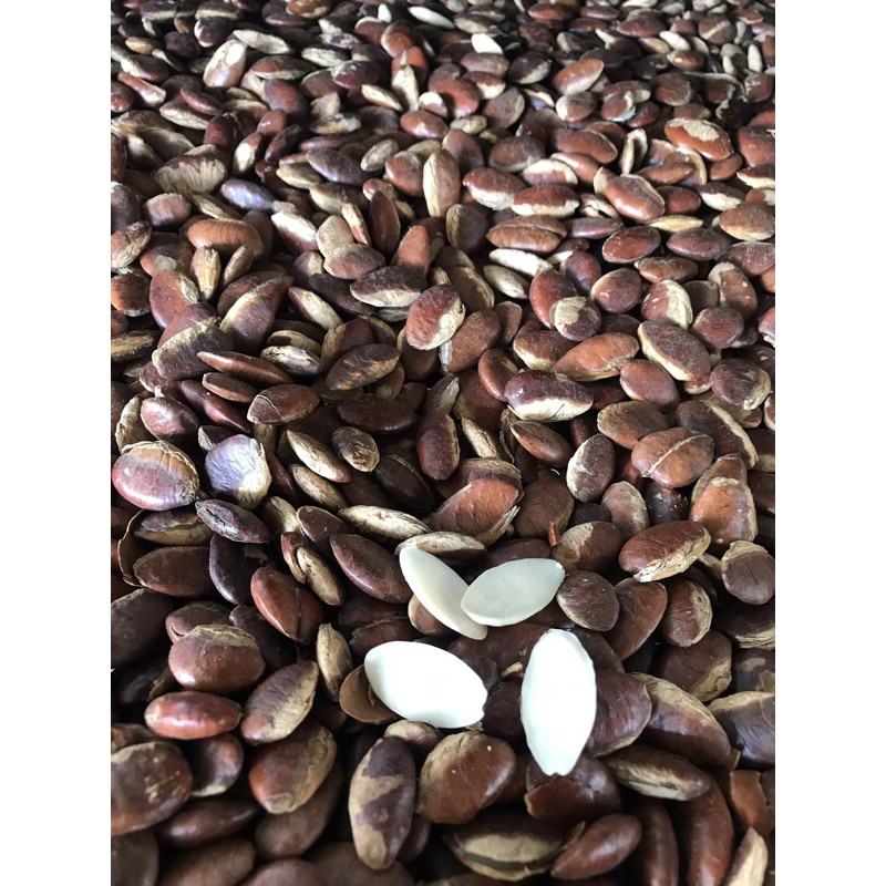 500g hạt Konia sấy chín ăn liền