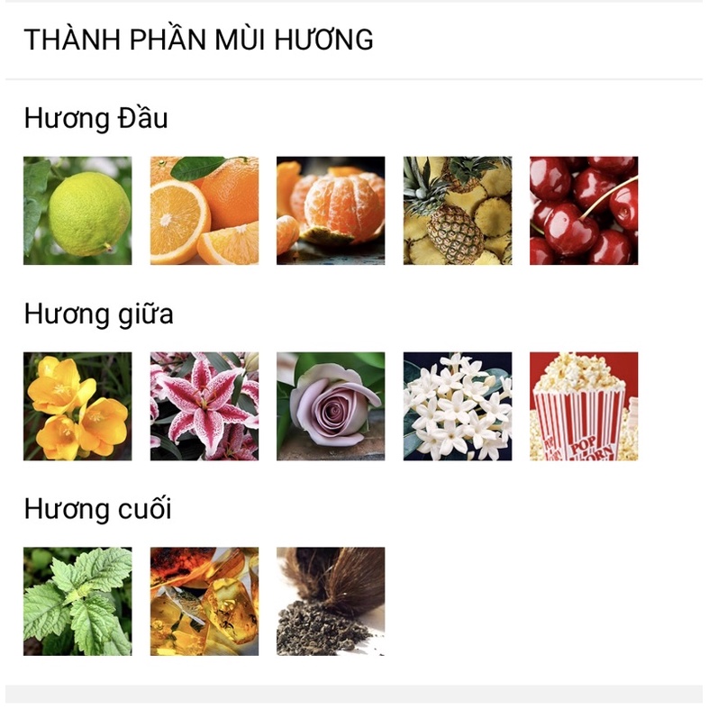 Nước hoa pháp 30ml Promenade a Versailles Pour Elle EDP