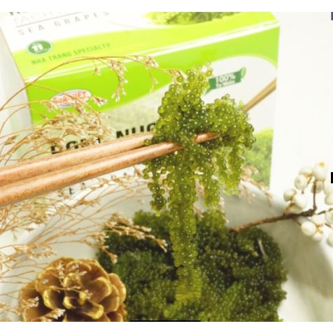 Rong Nho Khô Đặc Biệt 220g (Ảnh Thật)