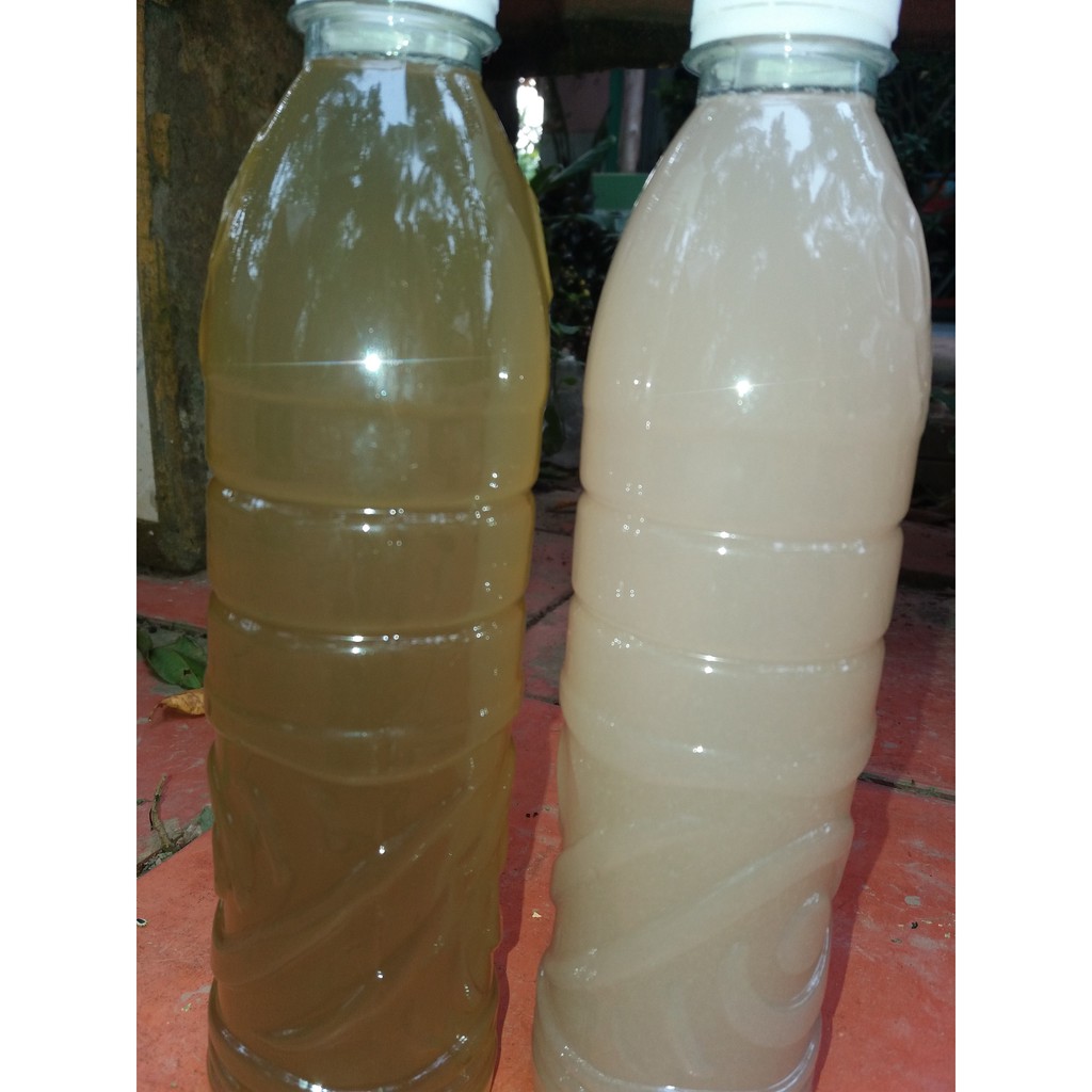 Dung dịch GE nha đam 500ml- Phân bón hữu cơ, tưới lan, hoa kiểng