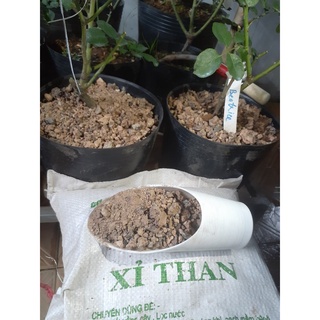 300g xỉ than tổ ong thô trồng cây, nuôi mèo
