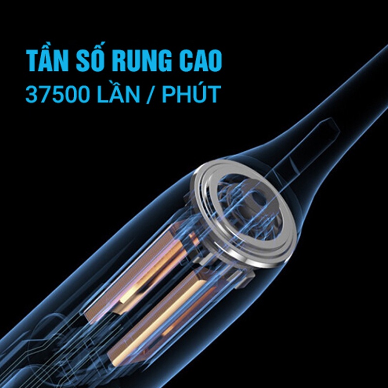 Bàn chải đánh răng điện cao cấp Flyco FT7105VN