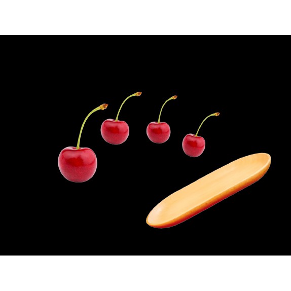 Khay gỗ hình ovan Ohi@ma