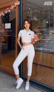 ❌ Áo Croptop Petter Thêu Logo 💕