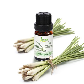 Tinh Dầu Sả Chanh Leviter 10ml - Xua đuổi muỗi, kháng khuẩn tự nhiên từ Citral 70% - Ấn Độ