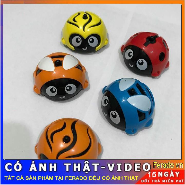 Hộp 16 con bọ rùa  quay cho bé yêu(SHOP GIÁ SỈ)