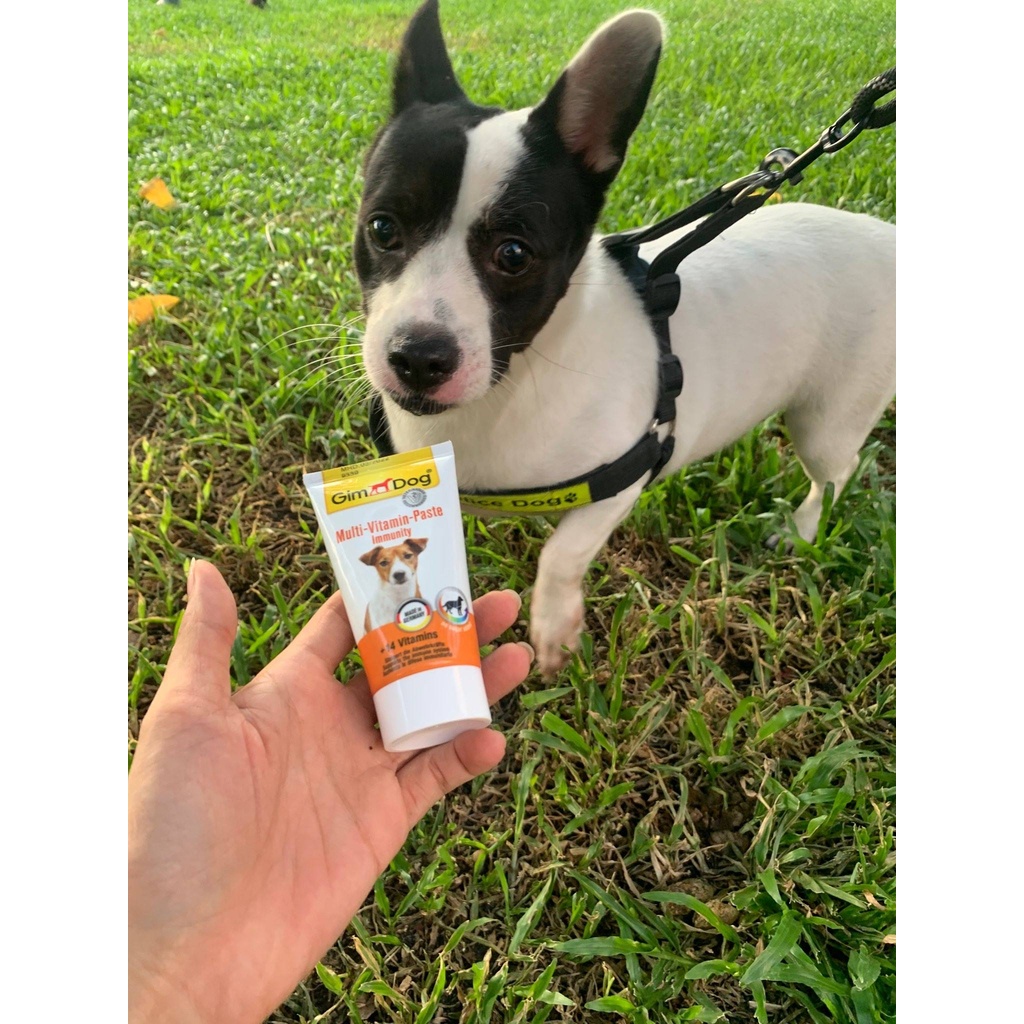 [50gr] Gel dinh dưỡng Gim Dog cung cấp 14 Vitamin thiết yếu, hỗ trợ miễn dịch cho chó