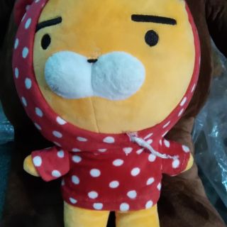 Gấu bông tín của Thúy Kiều
