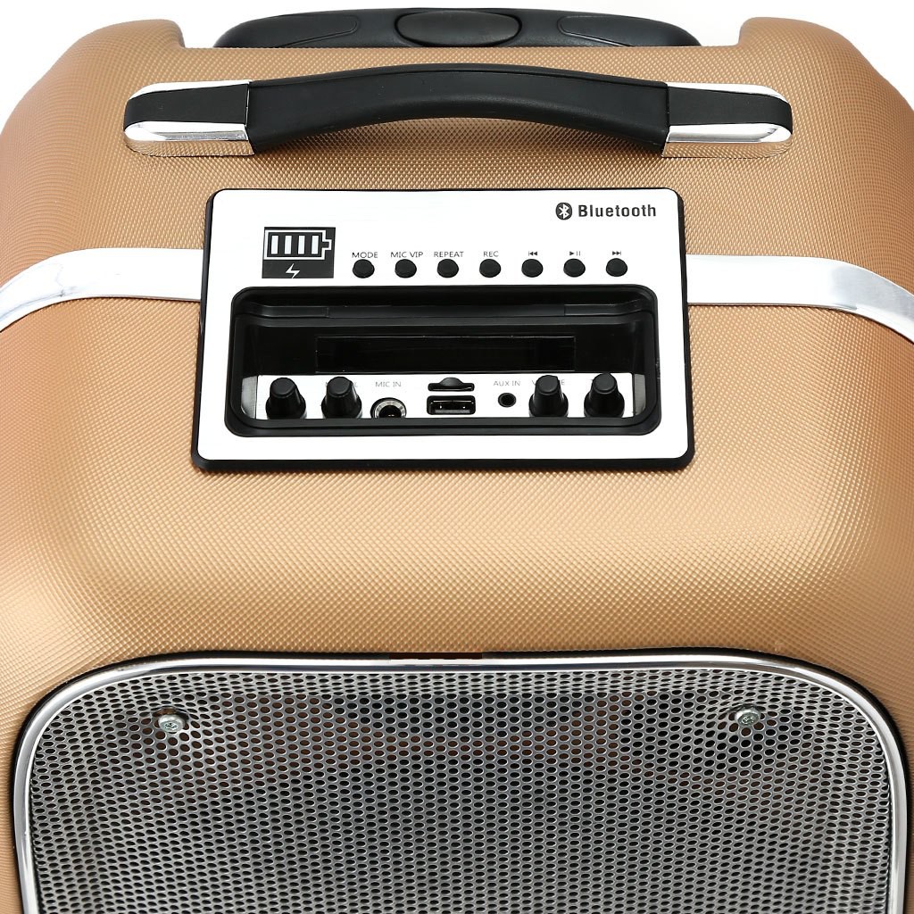 Loa Kéo SoundMax M6