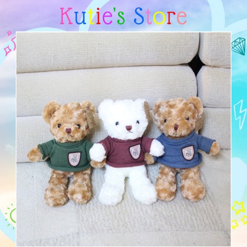 GẤU BÔNG TEDDY [SẴN] SIÊU DỄ THƯƠNG 30cm