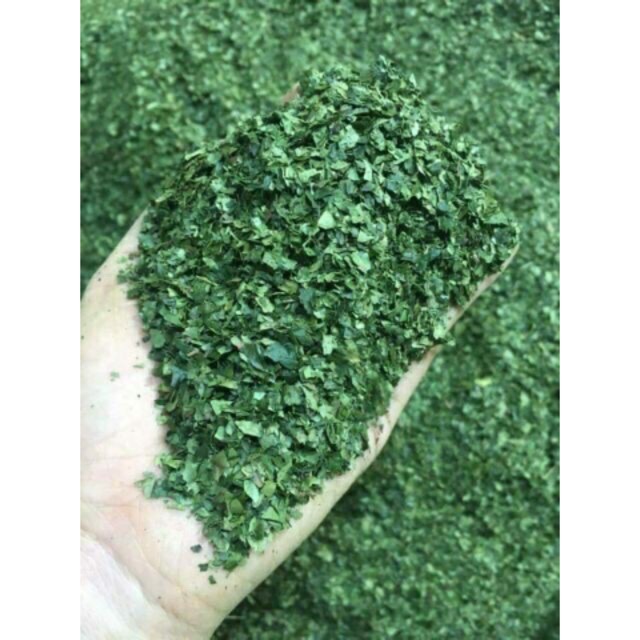 [100g ] Bột trà xanh nguyên chất Ngọc mầm | BigBuy360 - bigbuy360.vn