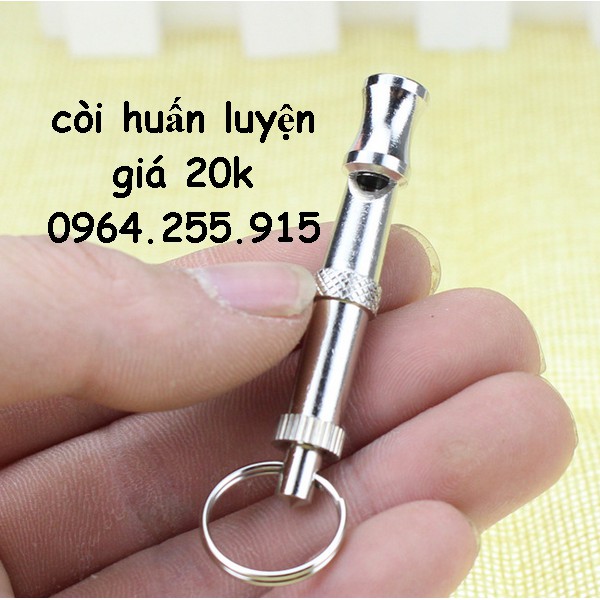 còi huấn luyện