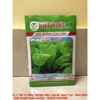 Hạt giống cải canh mơ hà nội-vtnn hiền lượt