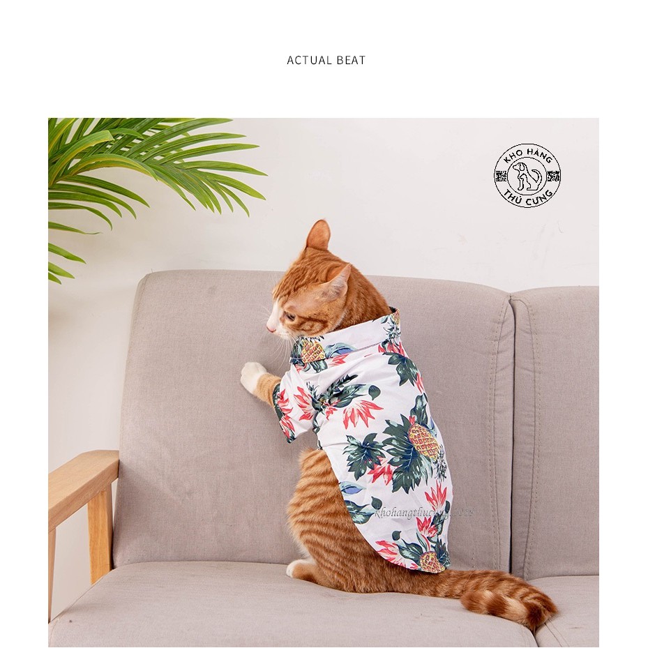 ÁO SƠ MI HOA DỨA- TRẮNG (Size từ 1- 40kg)