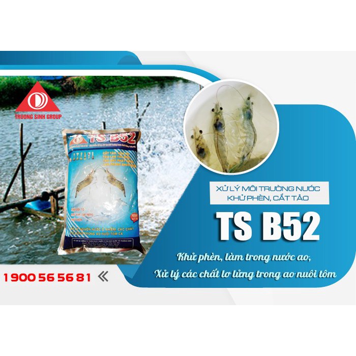 Xử Lý Môi Trường Nước, Khử Phèn, Cắt Tảo - Thuốc thủy sản TS B52