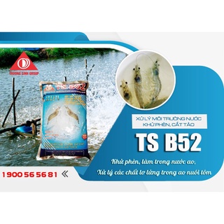Xử Lý Môi Trường Nước, Khử Phèn, Cắt Tảo - Thuốc thủy sản TS B52