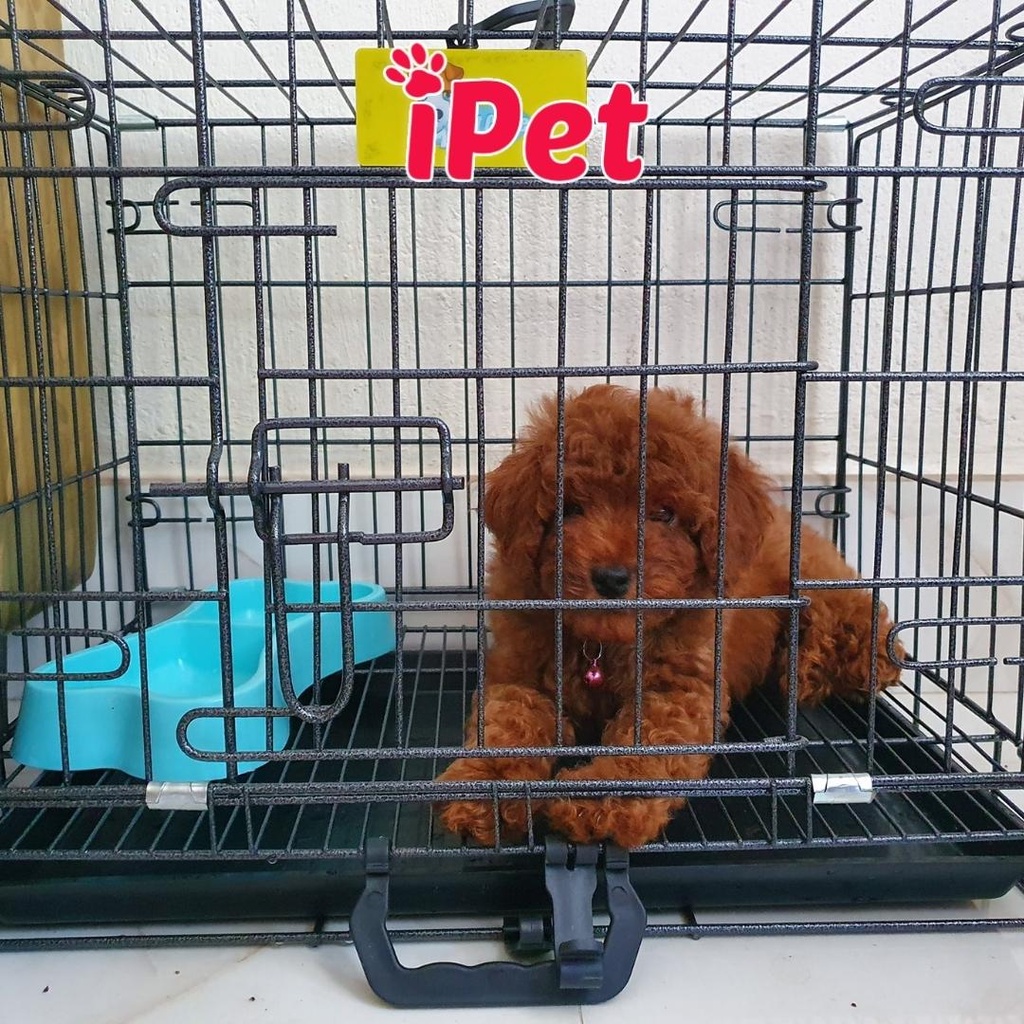 Lồng vân đá cho chó mèo, chuồng thú cưng tĩnh điện gấp gọn nan dày tặng kèm khay vệ sinh - iPet Shop
