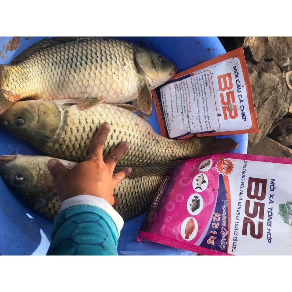 Môi Câu  B52 Chuyên Chép, Tra, Chim, Rô Phi