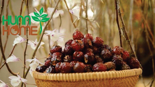Quả bồ hòn tách hạt 1kg - kèm quà tặng (cam kết hàng loại 1) | BigBuy360 - bigbuy360.vn