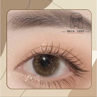 Lens Brown Có Cận Lệch Kính Áp Tròng nâu tròng ánh vàng nhũ