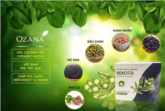 Dầu gội đen tóc phủ bạc Organic Macca