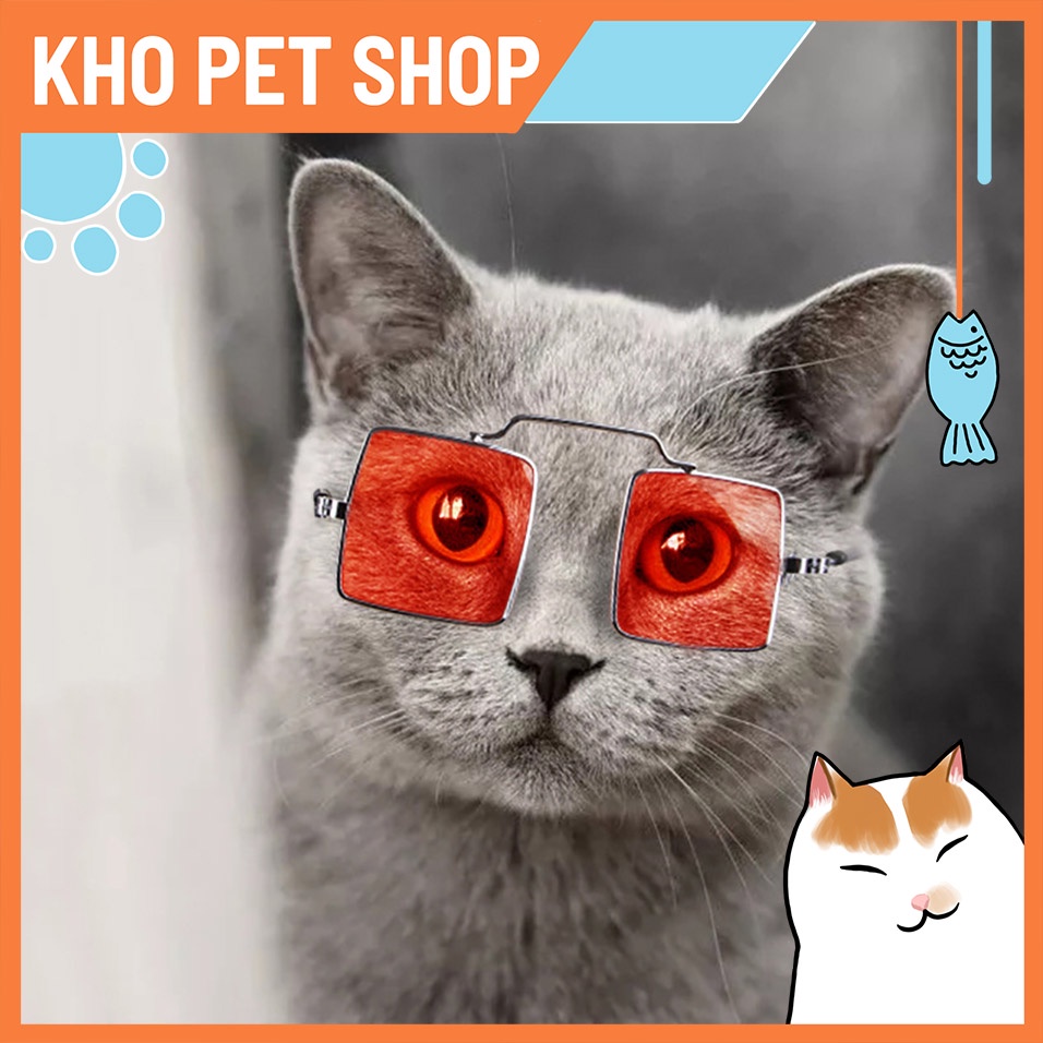 Kính vuông cho thú cưng