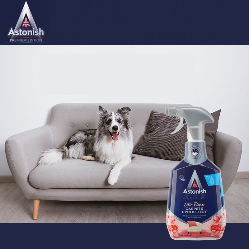 Bình xịt tẩy vết bẩn trên nỉ thảm, ghế Sofa Astonish 750ml C6720