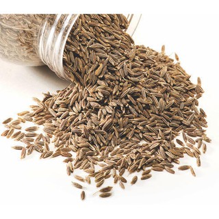 Hạt thì là Ấn Độ - CUMIN SEED INDIA 500g