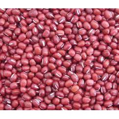 Đậu đỏ quê - Anh Lĩnh hạt nhỏ, chắc, đẹp, giòn hút chân không