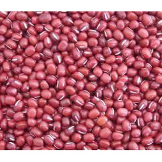 [Hàng chuẩn có video] Đậu đỏ quê - Anh Lĩnh hạt nhỏ, chắc, đẹp, giòn hút chân không