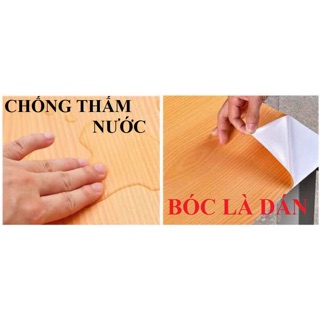Giấy dán tường Doremon cây dừa kèm video thực tế