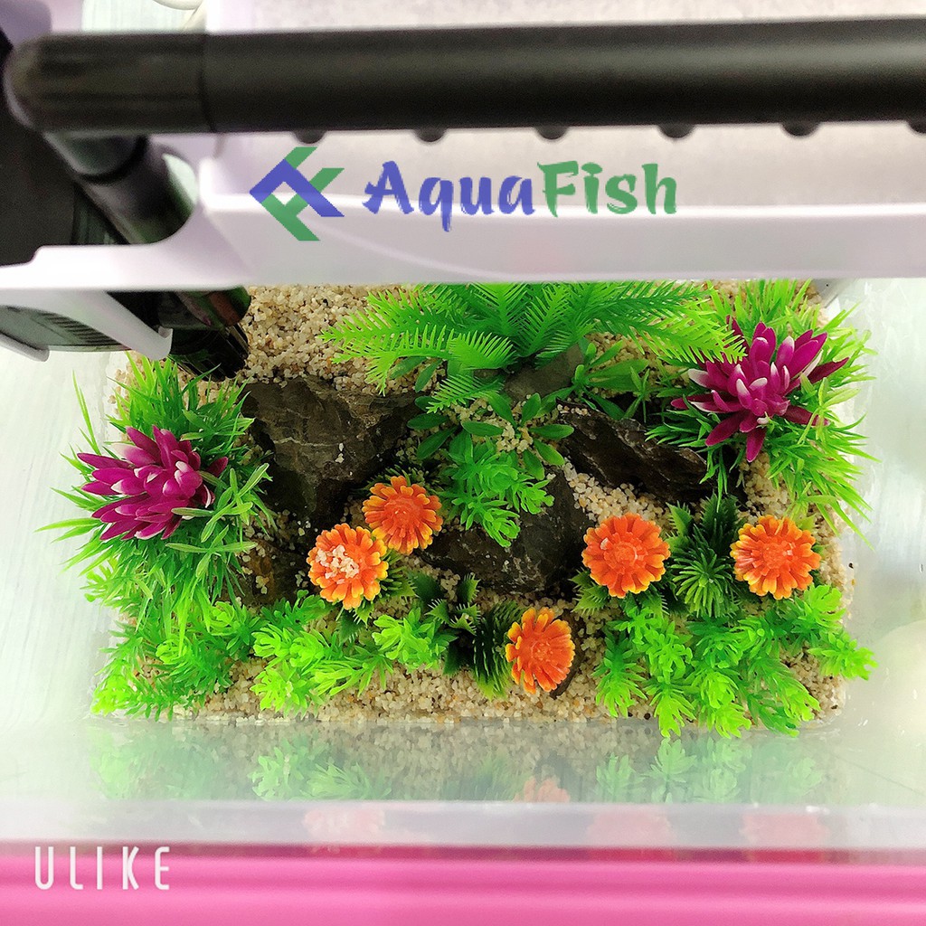 Bộ Bể Cá Bằng Kính Đúc MJ 260 (đã bao gồm đèn và bộ lọc, tặng bộ trang trí trị giá 100k)