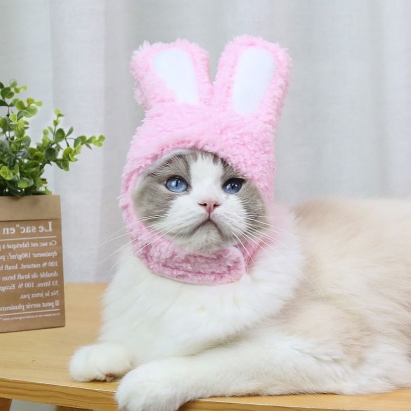 Mũ lông tai thỏ cho thú cưng siêu cute, nón cho chó mèo