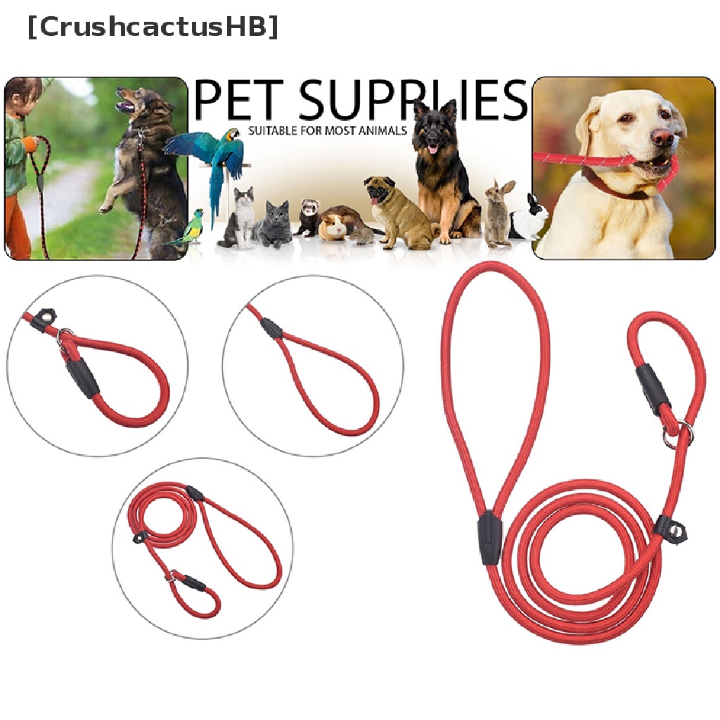 Dây xích chó huấn luyện thú cưng bằng nylon