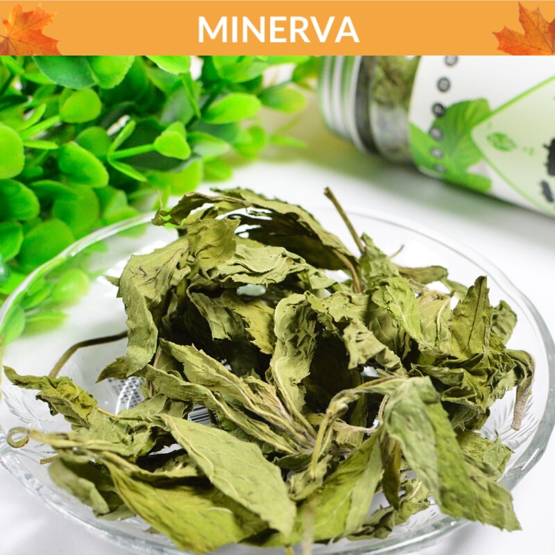 100 g Bạc hà sấy lạnh loại đẹp , lá xanh nguyên chất pha trà , xông phòng